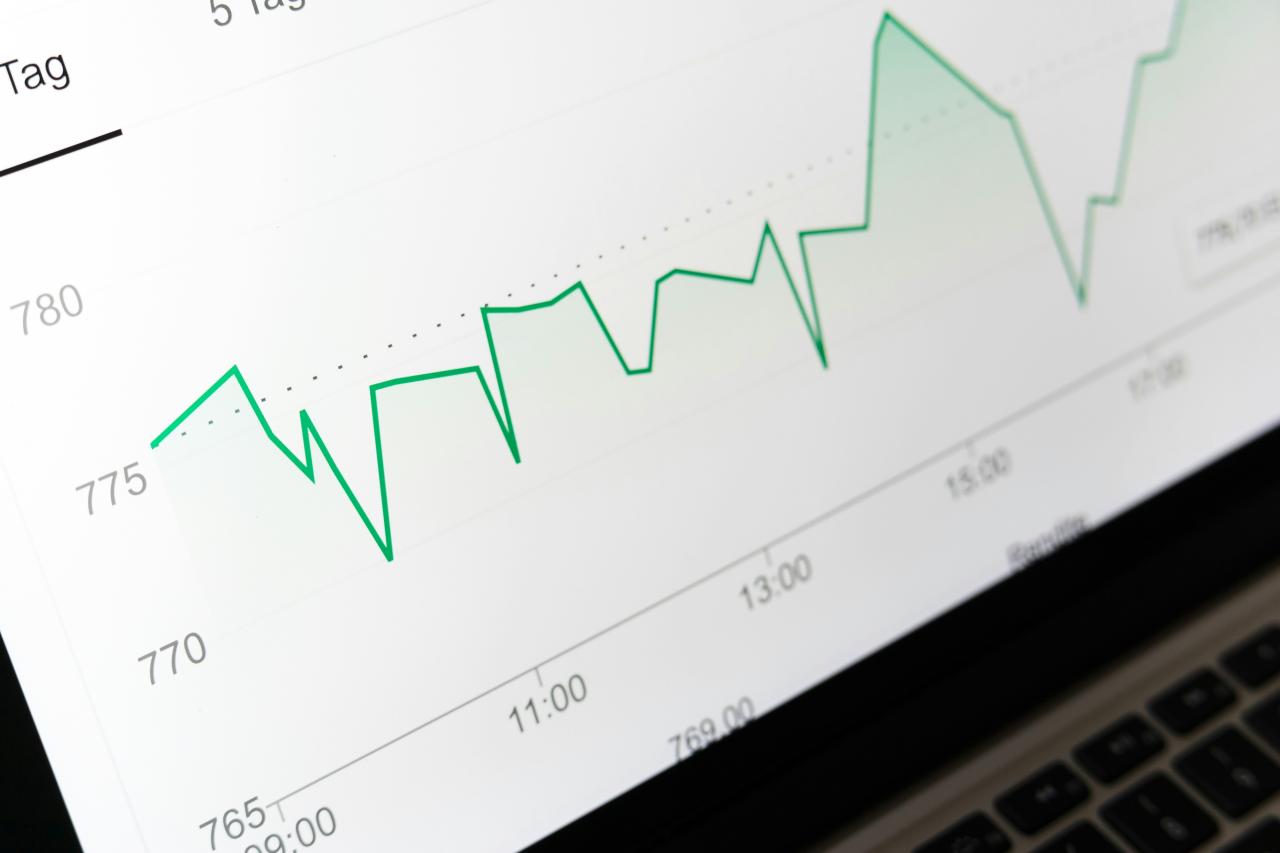 Investor reviewing fund costs, holdings, and tracking information